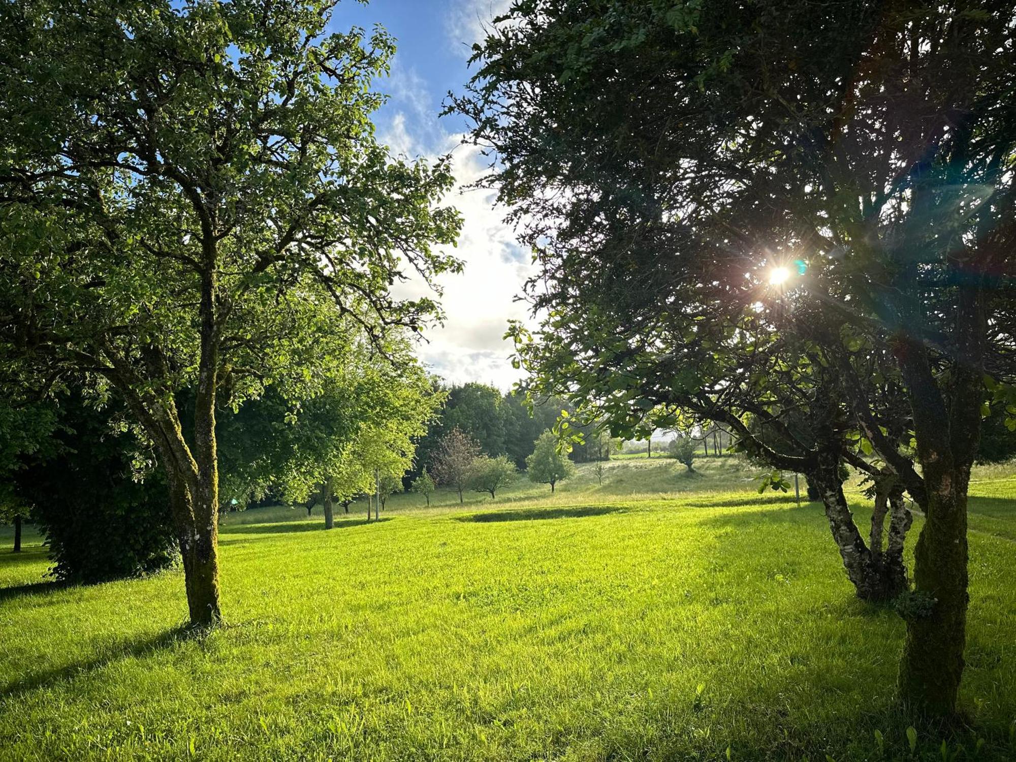 La Jarisse Villa Saint-Martin-de-Fressengeas Exteriör bild